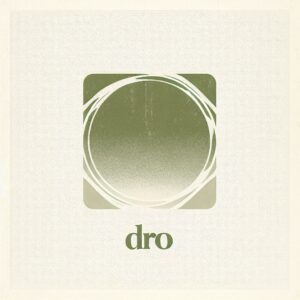 dro meaning